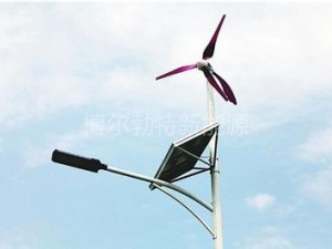 風(fēng)光互補(bǔ)路燈