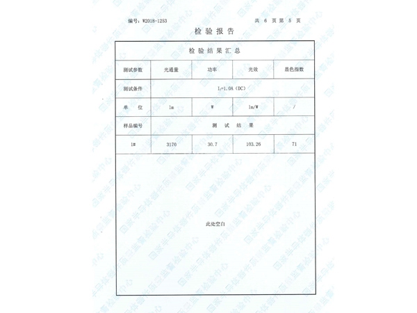 30W小金豆檢測報(bào)告_5
